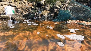 水管沖出成千上萬只大蝦，金燦燦的堆得滿地都是，看著好誘人