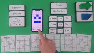 Scale Mechanisms in Complex Systems