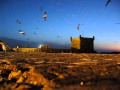 Morocco Essaouira  beautiful scenery