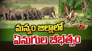 మన్యం జిల్లాలో ఏనుగుల బీభత్సం | Elephants Hulchal In Manyam District | Ntv