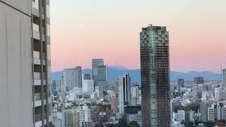 今日の富士山　令和元年11月20日