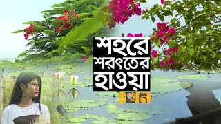 ফুটতে শুরু করেছে কাশফুল | Autumn | Bangladesh | Ekhon TV