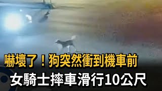 嚇壞了！狗突然衝到機車前　女騎士摔車滑行10公尺－民視新聞