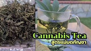 [F2520] วิธีทำ Cannabis tea สูตรแม่มดกัญชา