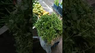 বাজারের ধনে পাতার দাম কত? #ধনেপাতা #vegetable