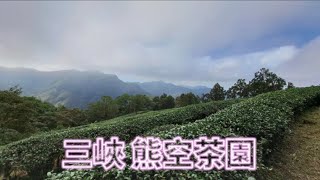 〔1騎1會〕三峽 熊空茶園