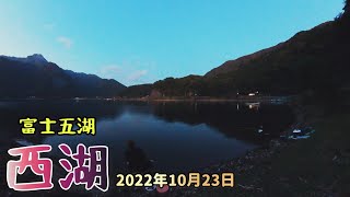 西湖の初ベラの経験忘れられなくてまた行ってきましたが想像以上渋かった｜ヘラブナ初心者