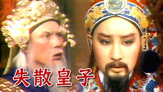 【經典歌仔戲】白玉環何處來？魏老將軍明察秋毫 意外找到失散皇子｜薛平貴(1980)