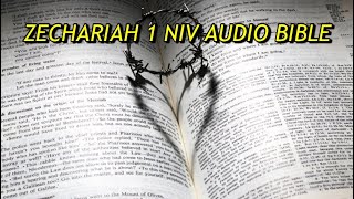 ZECHARIAH 1 NIV AUDIO BIBLE(with text)