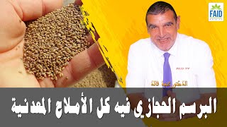 البرسيم الحجازي فيه كل أنواع الأملاح المعدنية | الدكتور الفايد