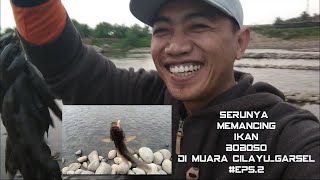 Serunya Mancing Ikan Boboso di muara Cilayu Garsel #Eps.2