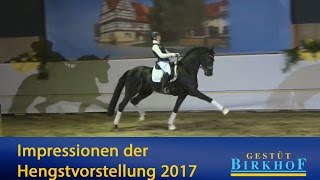 Impressionen der Birkhof-Hengstvorstellung 2017