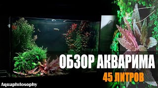 Обзор аквариума на 45 литров