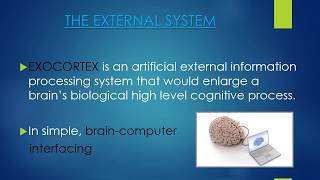 EXOCORTEX