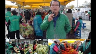 양평군새마을회, 김장김치 1만포기 담가 '사랑 나눔 실천'