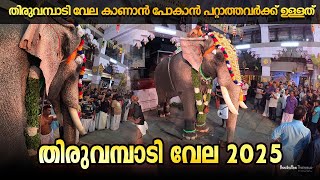 തിരുവമ്പാടി വേല 2025 | Thiruvambady Vela | Chandrasekharan,Kannan,Arjun | @unnikuttanthrissur8