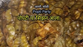 पोपटी चा सिझन आला।।Gavakadil Popti.