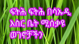 ፍትሕ ፍትሕ ፍትሕ በሳዑዲ  አረቢያ አስር ቤት ለሚሰቃዮ ወገኖቻችን