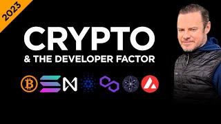 Top Blockchains and the Developer Factor