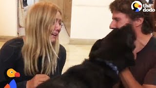 Stolen Puppy Dog Reunited With Couple in India | The Dodo