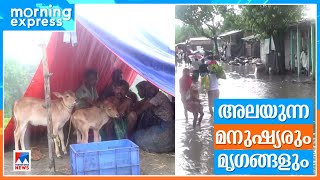 പ്രളയ ജലം വിഴുങ്ങുമ്പോള്‍ രക്ഷതേടി അലഞ്ഞ് വന്യമൃഗങ്ങളും |Kaziranga National Park