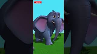 Animal Running - Surprise Magic | Hindi Rhymes \u0026 Cartoons | Infobells