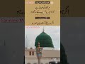 farman aakhiri nabi ﷺ @farmane_nabi ytshorts status quotes