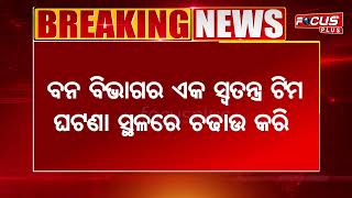 ବାଲିଆ ପାଖ ଜଙ୍ଗଲରୁ ବନ ବିଭାଗ ଦ୍ବାରା ବିପୁଳ ଶାଗୁଆନ କାଠ ଜବତ