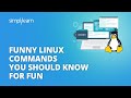 Funny Linux Commands You Should Know For Fun | Funny Linux Commands | #Shorts | Simplilearn