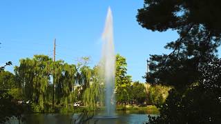 Mystic Giant Fountain by Otterbine