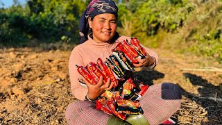 2xspicy 20￼packets noodles ￼￼￼with sasuteam.puspako khabarle😓 #siruthapamagar#villagelife #vlog