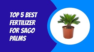 TOP 5 BEST FERTILIZER FOR SAGO PALMS 2023