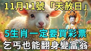 60年一次，就在明天！11月11號「天赦日」，這5個生肖一定要買彩票，乞丐也能發大財，尤其這個屬相！再窮也能翻身變富翁！ |禪悟修心