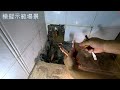 修理入牆水喉漏水 repair leaking water pipes in the wall