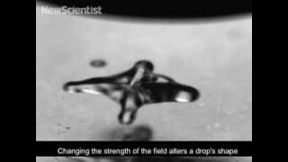 Levitating water drops form spinning stars