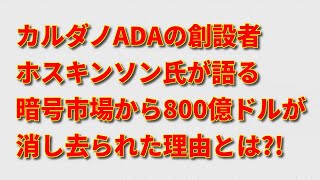 カルダノ(ADA)チャールズ・ホスキンソン氏が語る！暗号通貨市場から800億ドルが消えた理由。