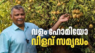 ഹോമിയോ മരുന്നില്‍ 'ഹെല്‍ത്തി'യായി ഡോക്ടറുടെ വിളകള്‍ | Homeopathy