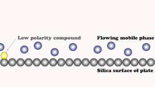 Chromatographic Separation Explained