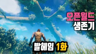 솔플로 엔딩까지 'Valheim' 림스 발헤임 1화