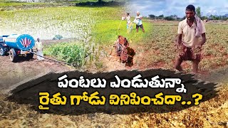 రాష్ట్రంలోని 13 జిల్లాల్లో తీవ్ర వర్షాభావం | 13 Districts In Andhra Pradesh Record Deficit Rainfall