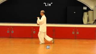 13 Form Tai Chi (Back View) (2013.08.25)