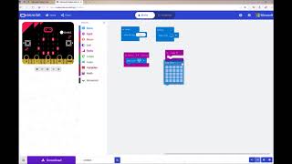 Micro:Pet Project - Coding
