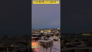 【北海道旭川市】にわか雪も降っており真冬モード継続中の旭川市☃️ 朝の気温-4°☀️ 2025年2月17日✨ #ninjya #shorts #旭川市 #朝イチ #hokkaido #北海道 #雪