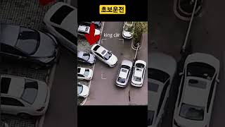 10분동안 차를 못 빼고 있는 초보운전 #shorts  #초보