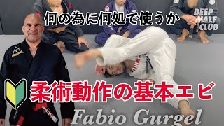 柔術動作の基本エビの意味どこまで知れているか？これが分かるだけでもエビが変わる！