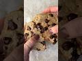 5 Ingredient Single Serve Protein Cookie (25+ grams of protein!)