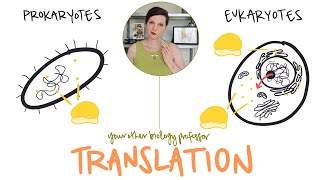 Prokaryotes vs Eukaryotes | Translation Differences!