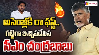 అసెంబ్లీకి రా ఫస్ట్..| CM Chandrababu Serious Comments On YS Jagan | Sreeni Media