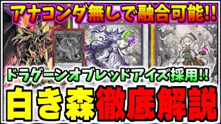 【遊戯王マスターデュエル】アナコンダ無しで融合可能!!ドラグーンオブレッドアイズ採用白き森を徹底解説【/ゆっくり実況/ずんだもん/最強デッキ/無課金/初心者】