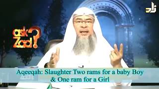 Aqeeqah: Slaughtering two rams for a baby boy and one for a baby girl - Sheikh Assim Al Hakeem